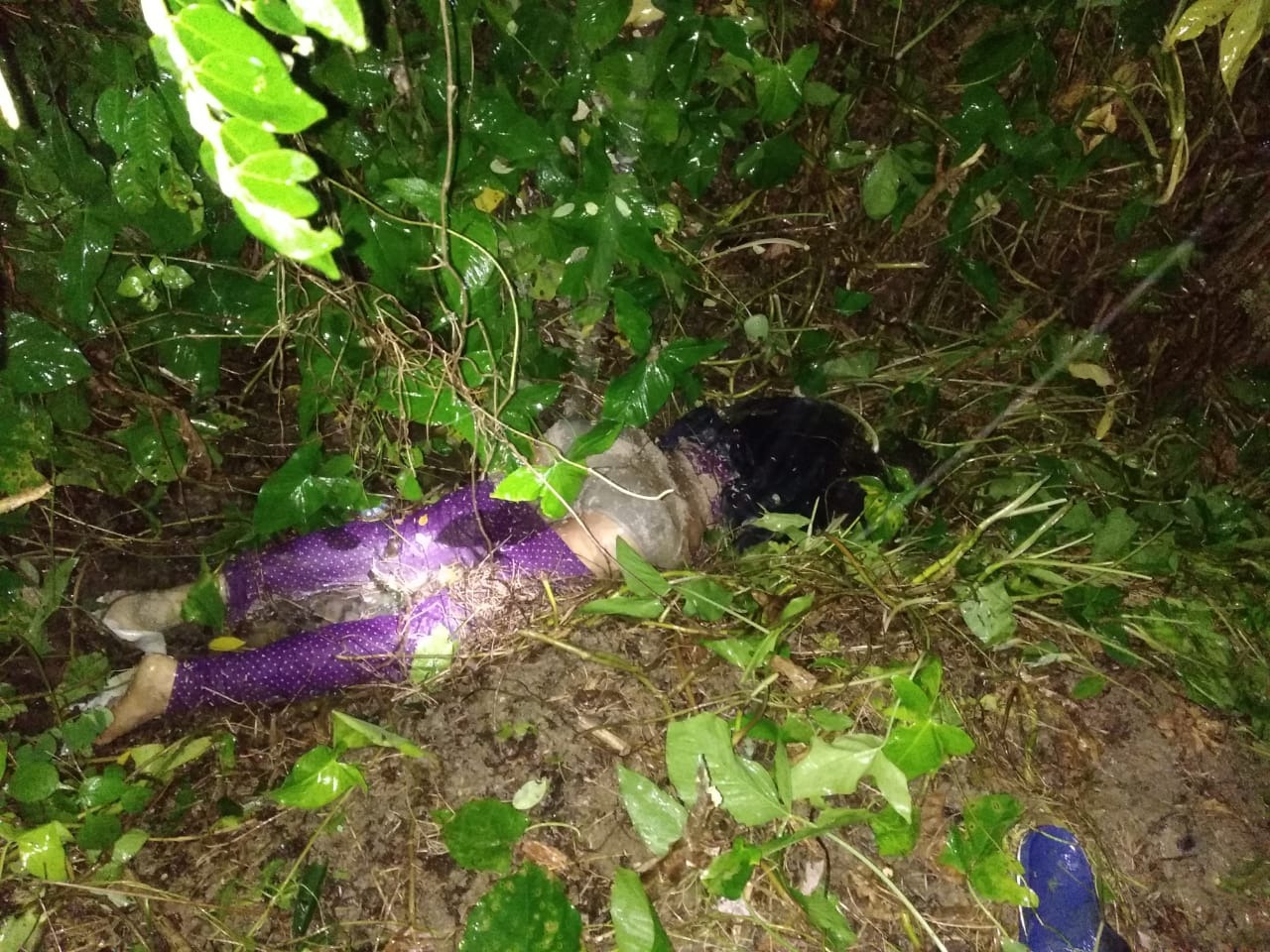 WhatsApp Image 2025-11-13 at 14.31.55