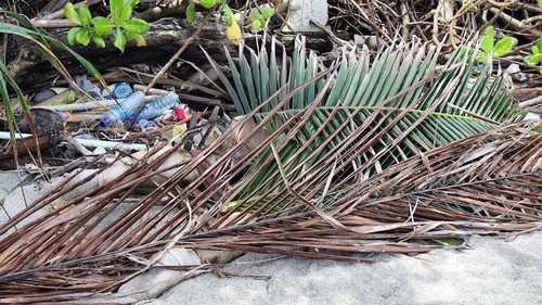 temuan-mayat-tanpa-busana-di-pantai-pandanan-lombok-utara-ntb-minggu-1812026-istimewa-1768729442271_169