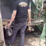 Cuplikan layar 2026-02-26 111957