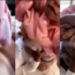 WhatsApp Image 2026-02-21 at 07.24.38