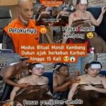 6687707dfdfdfdfdfdfdfdfdfdfdfdfdfdf13_122248630892142583_3856517948683784055_n